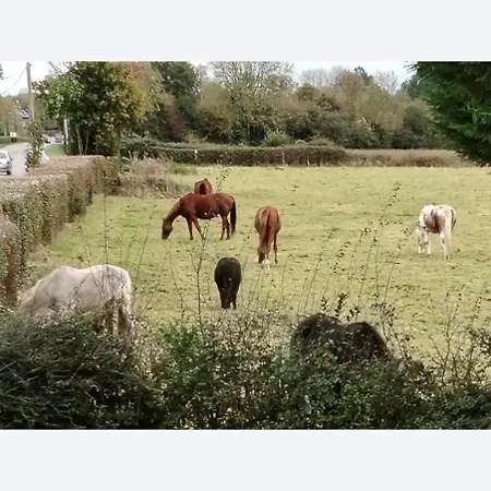 Du Val Durand Сasa de vacaciones Vimoutiers